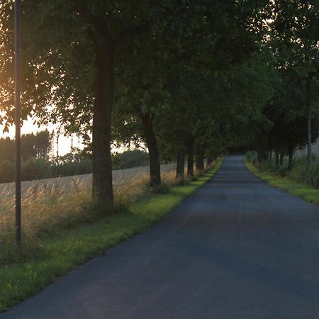 Fewo Harling - Waldsamkeit Bad Iburg Zewnętrze zdjęcie