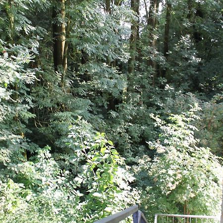 Fewo Harling - Waldsamkeit Bad Iburg Zewnętrze zdjęcie